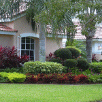 Tips to Make a Garden Look Awesome