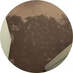 Best-Flood-and-Water-Damage-Restoration-Company