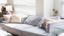 Sofa Beds